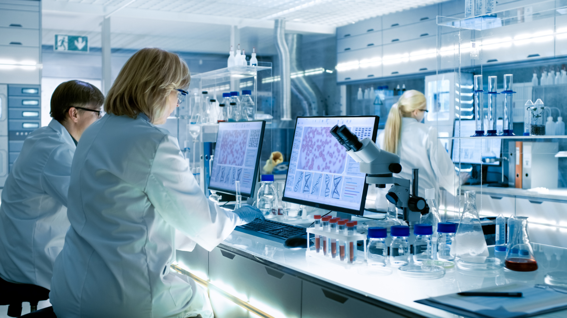 Euro-Chemicals header distributor of specialized industrial raw materials