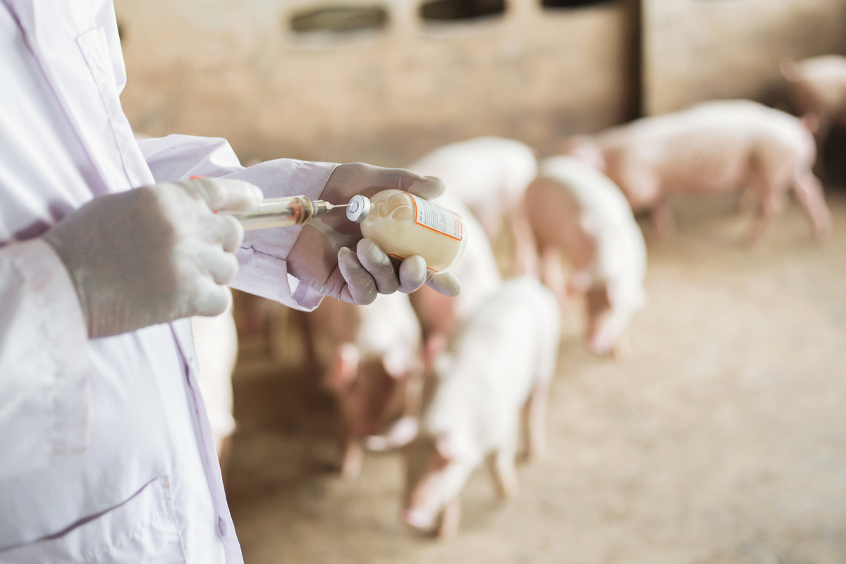 Euro chemicals pharma veterinary2